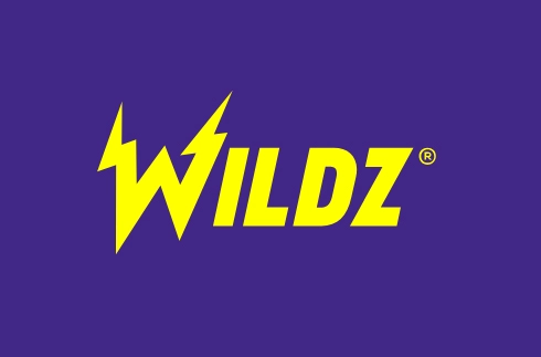 BlazingWildz Casino logo